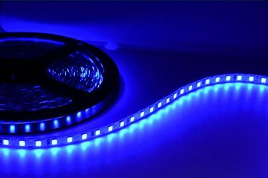 Luces de tira flexibles impermeables de SMD2835 LED para la decoración del parque temático